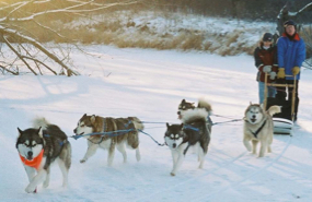 Procyon leading the team on a run down the Crow River, 2005